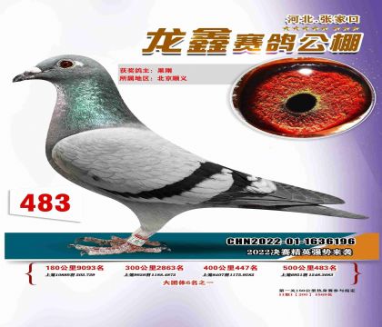 详细阅读:信鸽信息网各地公棚(信鸽信息网各地公棚2022051266694) 信鸽信息网各地公棚(信鸽信息网各地公棚2022051266694)